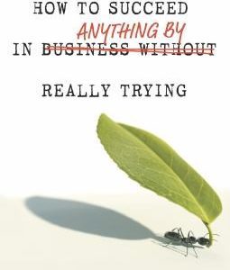 how to succeed in anything by really trying