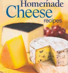 200 easy homemade cheese recipes