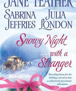 snowy night with a stranger