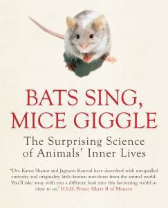 bats sing mice giggle