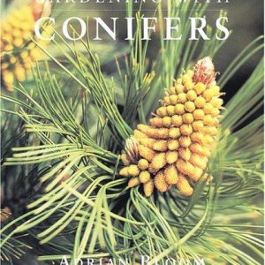 gardening with conifers