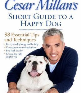 ceasar millan's short guide to a happy dog