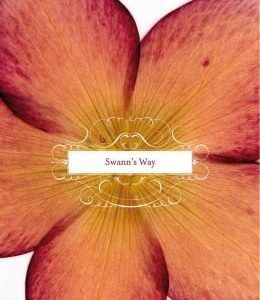 in search of lost time vol. 1 swann's way