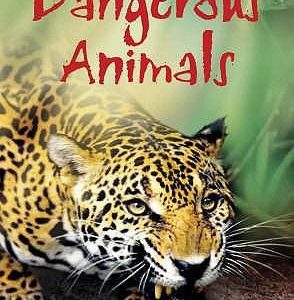 dangerous animals  level 1