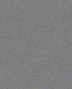 adult children of hippies