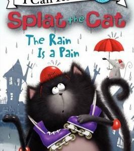 I can read! level 1 spalt the cat the rain is a pain