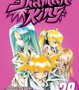 Shaman King #29