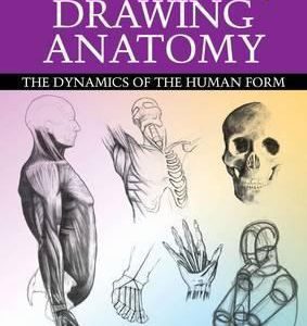 the fundamentals of drawing anatomy