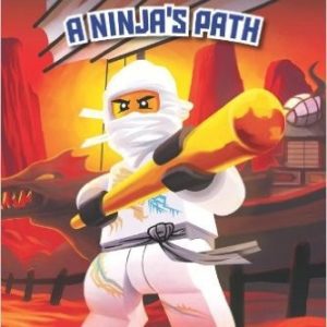 lego ninjago a ninja's path