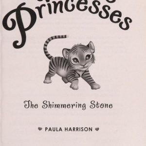 the rescue princesses the shimmering stone