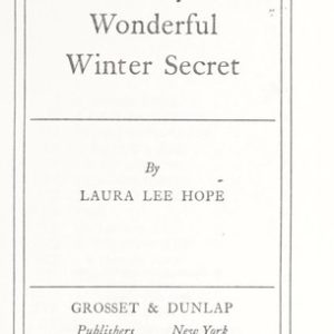 the bobbsey twins # 24 - wonderful winter street