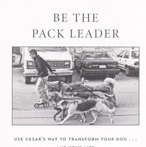 be the pack leader