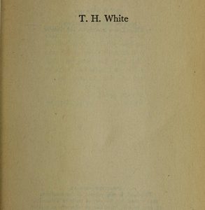 The Sword In The Stone