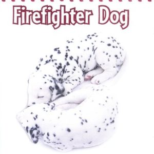 artlist collection the dog - firefighter dog
