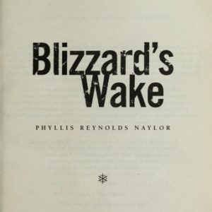 blizzard's wake