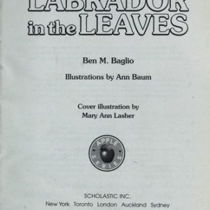 labrador in the leaves