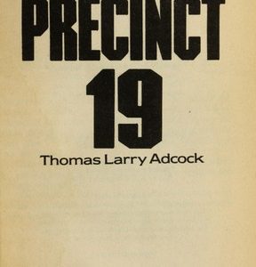 Precinct 19