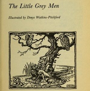 The Little Grey Men