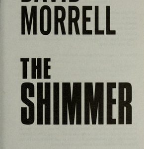 the shimmer