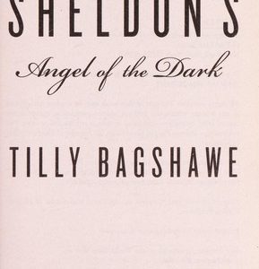 sidney sheldon's angel of the dark