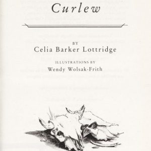 Ticket to Curlew
