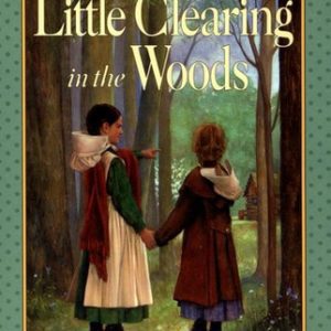 Little Clearing In The woods