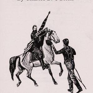 1001 civil war triva