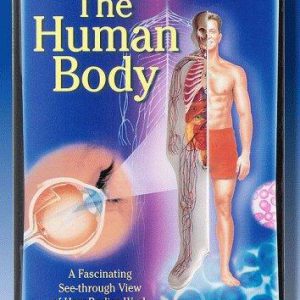 The Human Body