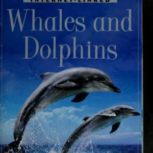 whales and dolphins