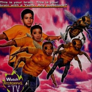 Animorphs # 40-The Other