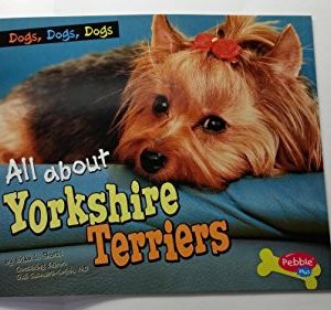 all about yorkshire terriers