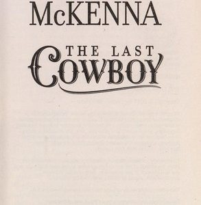 the last cowboy