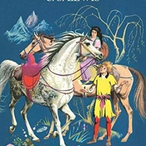 the horse and his boy # 5