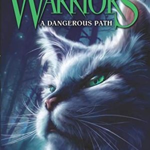 warriors a dangerous path
