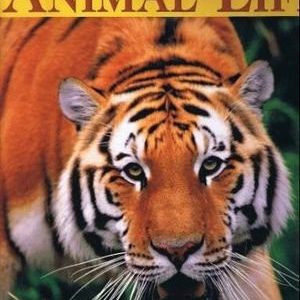 discover animal life