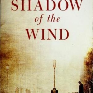 the shadow of the wind