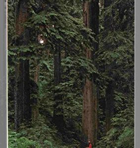 Wild Trees Of British Columbia