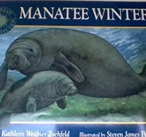Manatee Winter