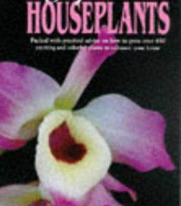 popular houseplants