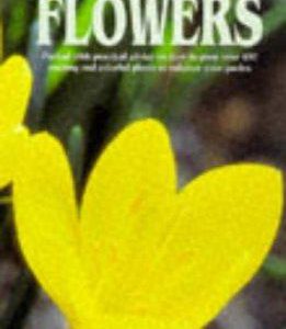 An Illustrated Guide to Garden Flowers