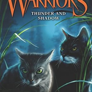 warriors a vision of shadows thunder and shadow