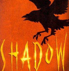 Shadow