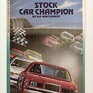 Stock Car Champion