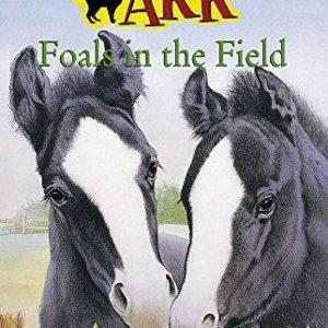 Foals in The Field
