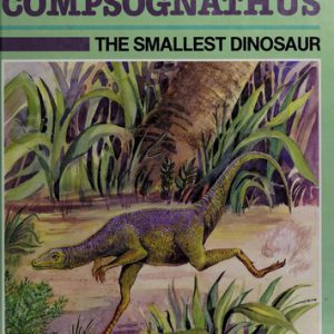Compsognathus The Smallest Dinosaur