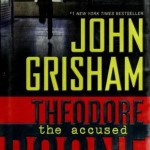 Theodore Boone - The Accused