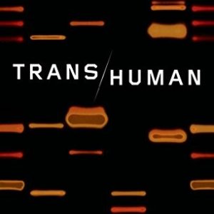 trans human