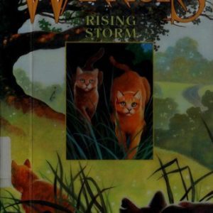 Warriors # 4- Rising Storm