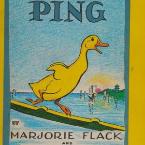 the story of ping