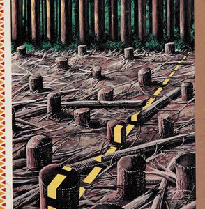 touch wood - bc forsets at the crossroads